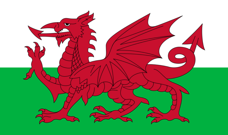 https://www.intelligentinstructor.co.uk/wp-content/uploads/2022/01/Flag_of_Wales.svg_.png